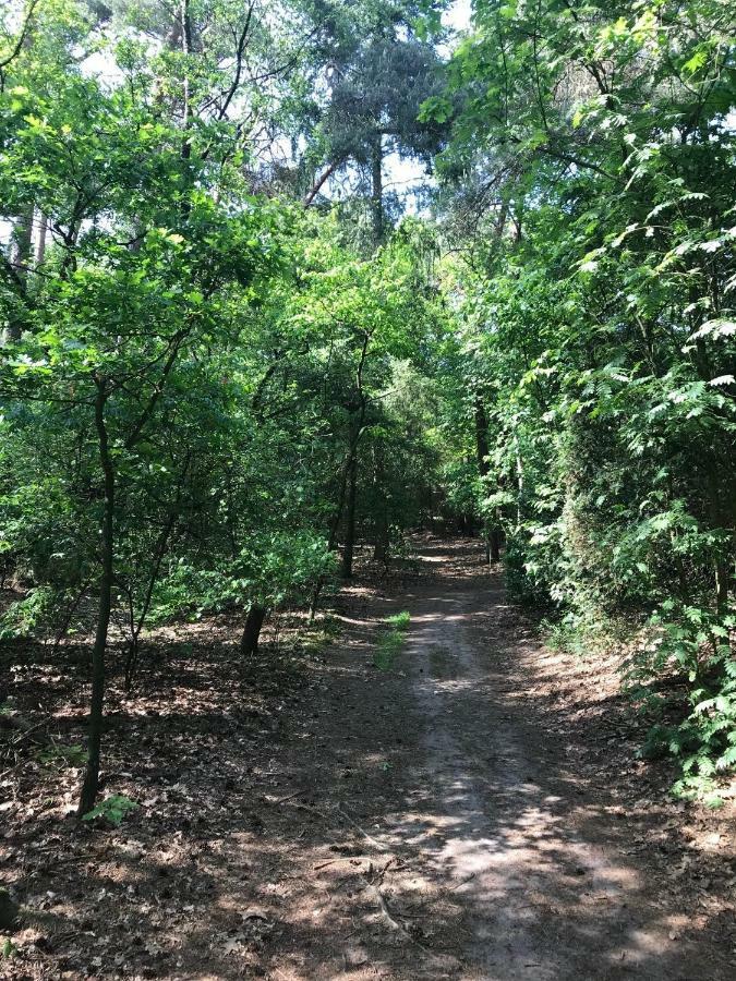 Natuurpark Hoefbos Boshuisje Veluwe Otterlo Extérieur photo